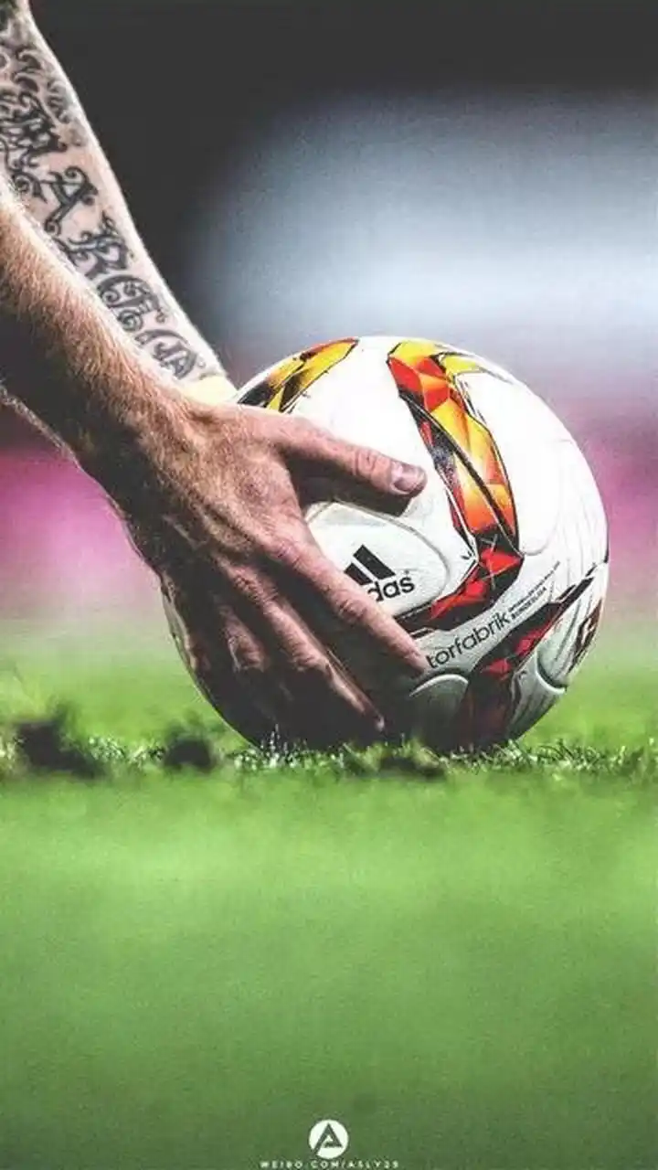 森纳的防线 森纳的防线