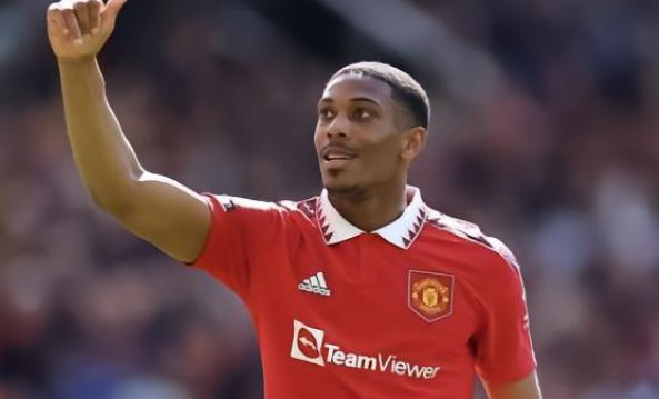 自己的回归 自己的回归