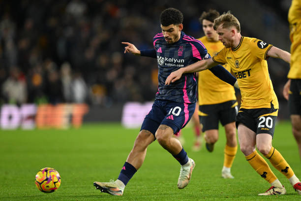 双方的友好 双方的友好