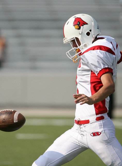 黃蜂和其他 黃蜂和其他